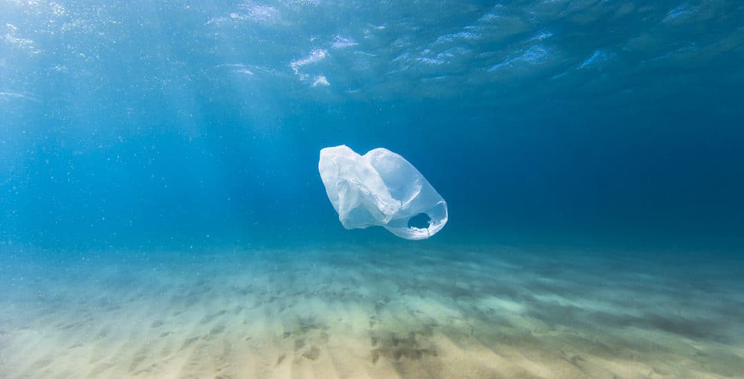 article - (Re)vivons dans un monde sans plastique