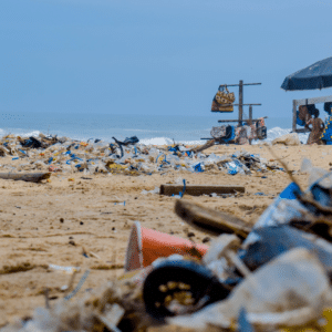 Le plastique finit sur les plages